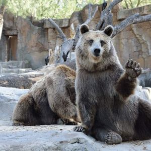 Source Article Image